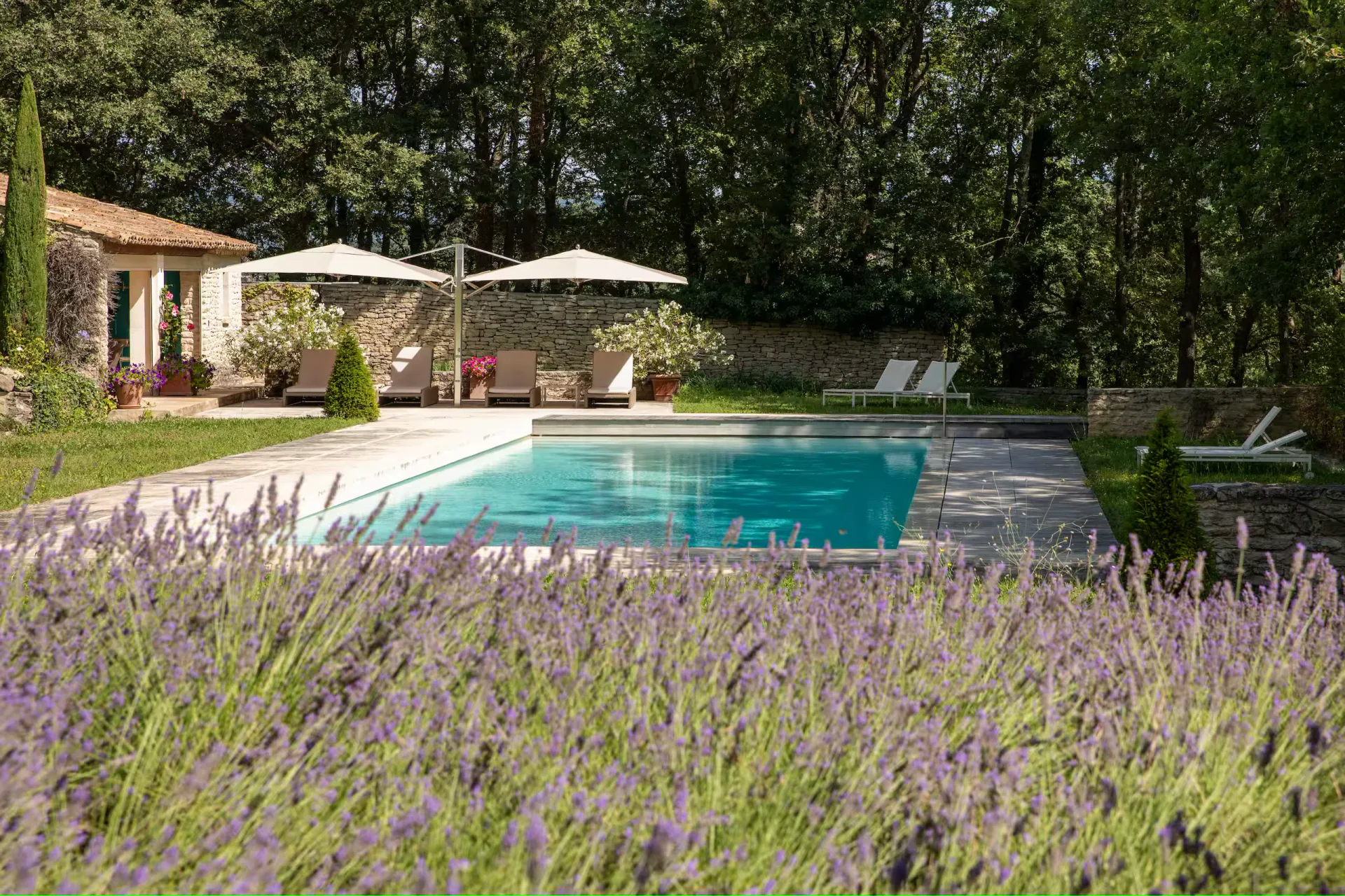 lar_haus_025-1